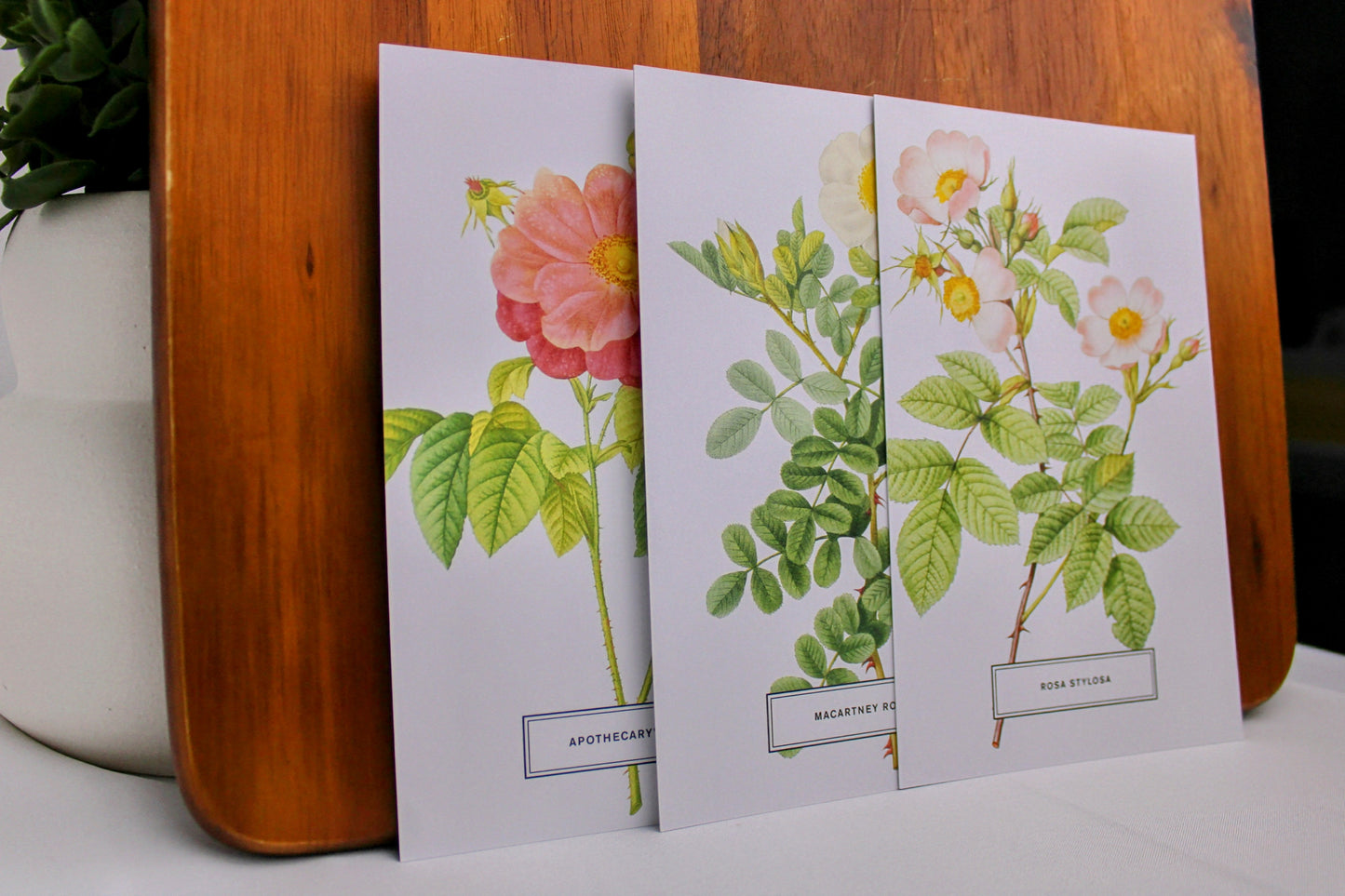 Vintage Style Botanical Postcards Prints